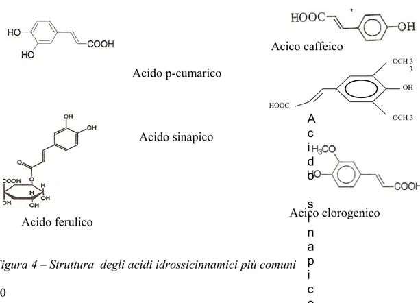 Figura 4 – Struttura  degli acidi idrossicinnamici più comuni