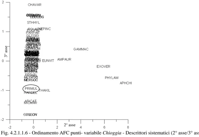 Fig. 4.2.1.1.6 - Ordinamento AFC punti- variabile Chioggia - Descrittori sistematici (2° asse/3° asse)