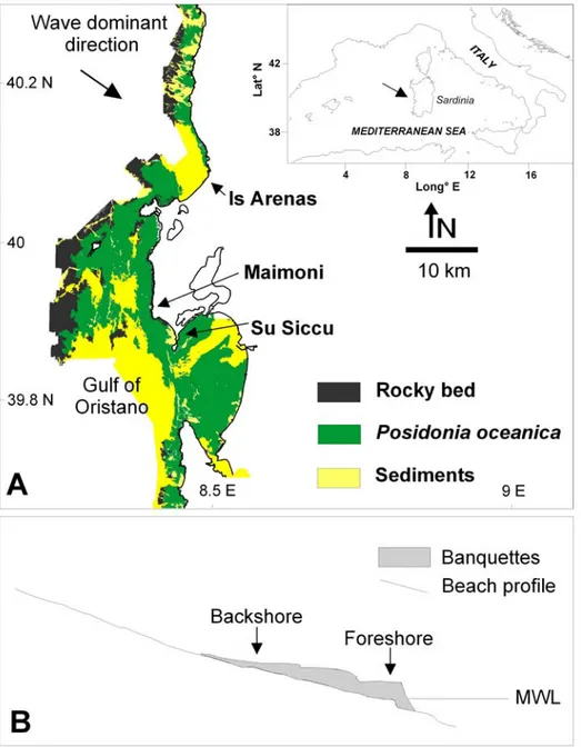Figure 3. 1 (a) Map of the study area showing the location of studied beaches, the map of 