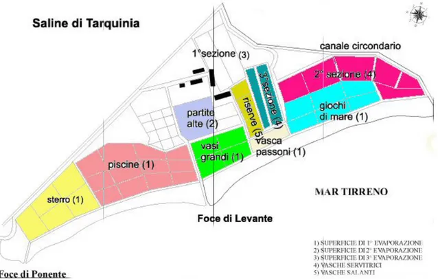 Figura 18. Settori delle Saline di Tarquinia in cui è stata misurata la salinità. 