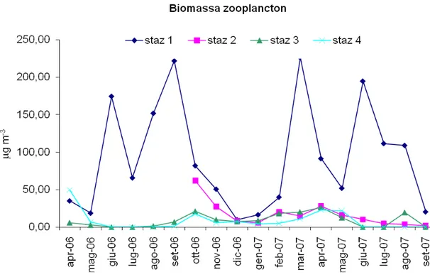 Figura 29. Variazioni della biomassa dello zooplancton nelle stazioni di campionamento