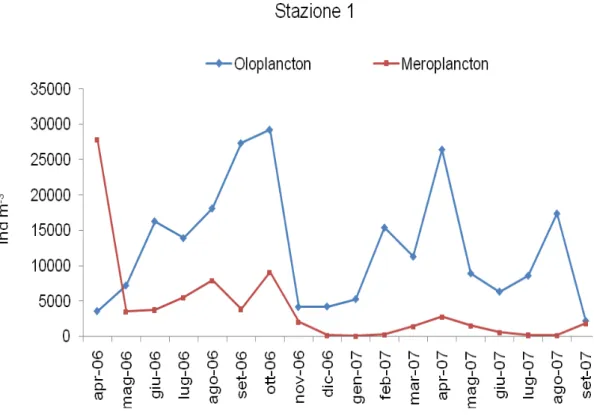 Figura 33. Variazioni delle densità dell’oloplancton e del meroplancton nella stazione 1