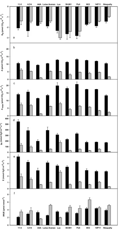 Figure 2. Effect of cadmium on gas exchange parameters: dark respiration, R d  (a), net photosynthesis 