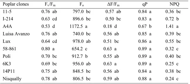Table 6. Fluorescence ratio F v /F m  and basal fluorescence F o  of dark adapted leaves, fluorescence 