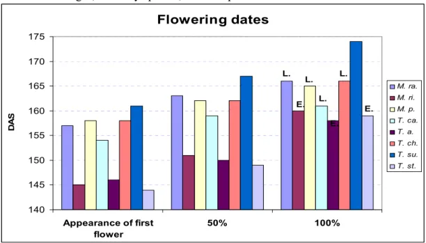 Figure 17: Flowering dates in days after sowing (DAS) at first, 50 and 100 % flowering 