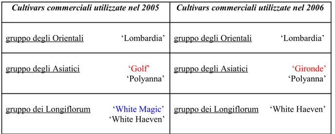Tab. 4.1: Cultivars commerciali di Lilium utilizzate negli anni 2005-2006 per la realizzazione  di incroci interspecifici