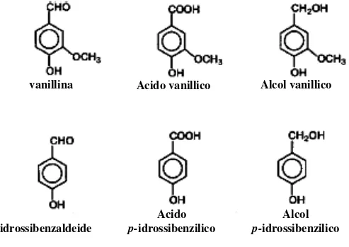 Figura 2:  Struttura  molecolare  dei  principali  composti  aromatici  presenti  nell’aroma di vaniglia