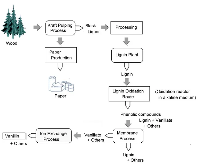 Figura 5:  Processo  di  ossidazione  della  lignina  e  recupero  della  vanillina  sintetica