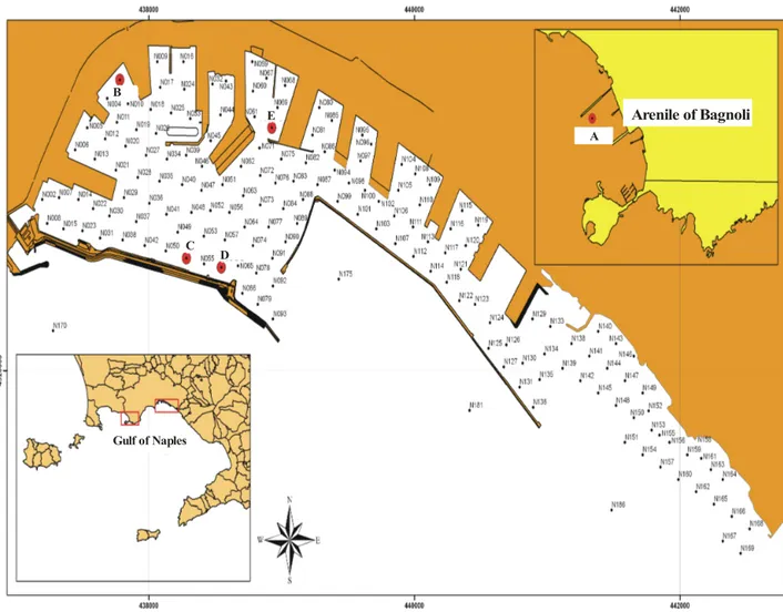 Fig. 4. Location map of the studied samples. samples B,C,D and E from the Naples’s harbour, sample A from  the “Arenile of Bagnoli”