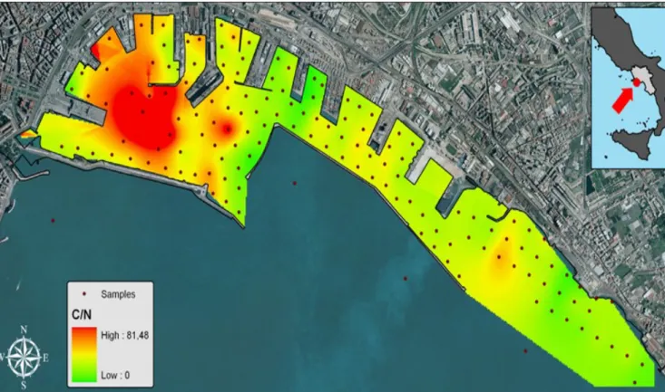 Fig. 8. Map of distribution of C/N ratio in the Naples’s harbour