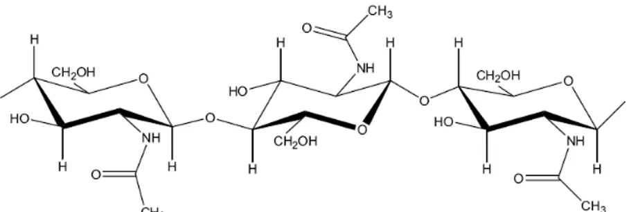 Fig. 3 - Struttura chimica della chitina