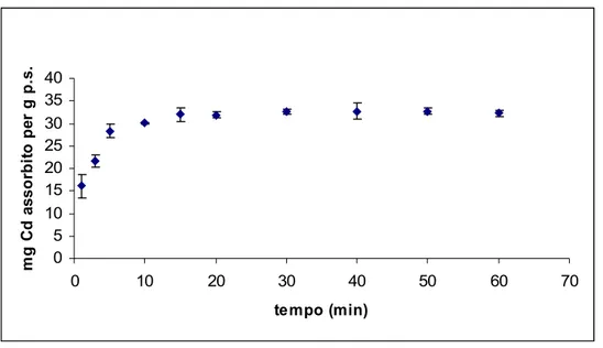 Fig. 10 – Adsorbimento di Cd (II) 10 mg L -1  su chitosano in funzione del tempo.