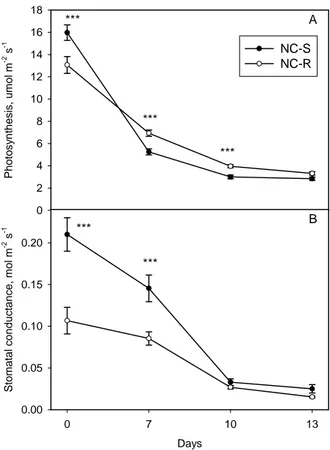 Figure 14: Photosynthesis (panel A) and stomatal conductance (panel B) of a resistant (NC-R) and a sensible  (NC-S) clone of Trifolium repens cv “Regal”