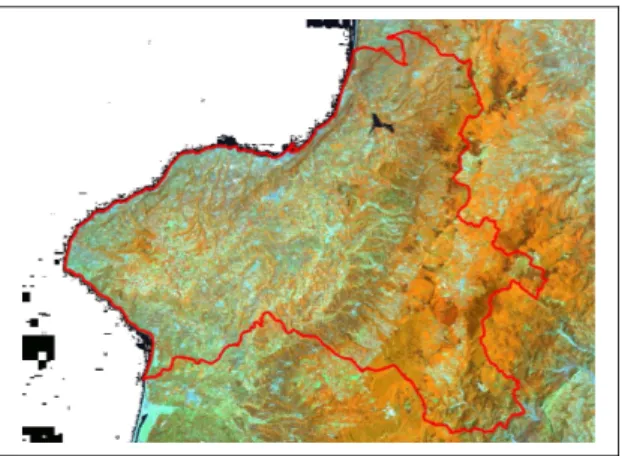 Figura   4.1-e   -   Provincia   di   Vibo   Valentia   immagine Landsat, Thematic  Mapper, 1987  RGB 453