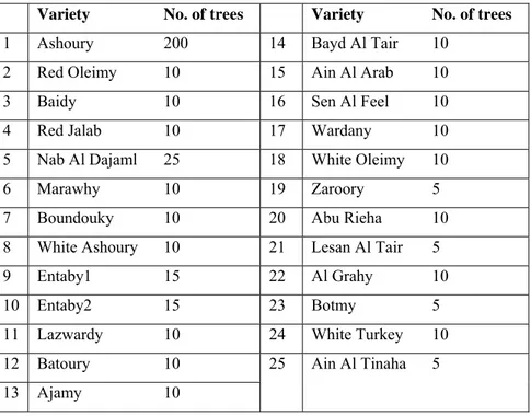 Table 1. Germplasm collection of Syrian female varieties grafted on P. vera. 