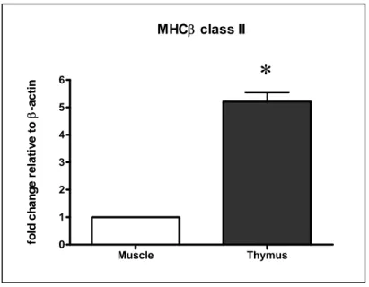 Figura 3.9 Q-PCR dei trascritti del  gene MHCII-β nel timo di spigola di un anno relativa ai trascritti  della  β-actina