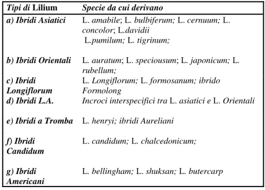 Tab. 3: I principali tipi di Lilium con rilevanza economica sono ibridi, cioè derivanti da incroci tra  specie