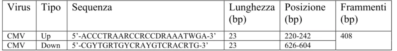 Tab. 7  - Primers degenerati che amplificano 408 bp di uno specifico frammento di CMV