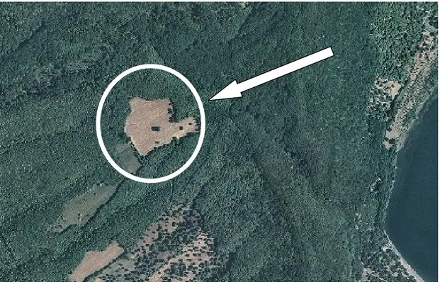Fig. 26: Foto aerea della particella sperimentale di Monte Fogliano (Comune di 