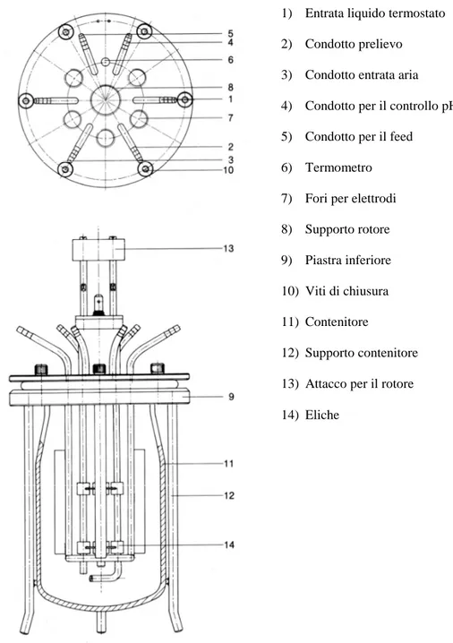 Figura 3.2 - Schema del fermentatore da 2 litri 