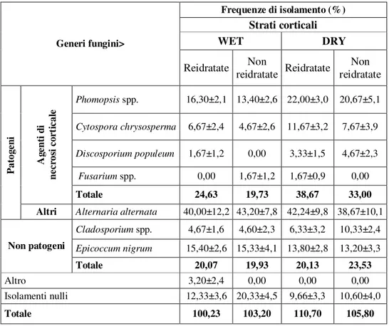 Tabella 9. Casale M.to Primavera 2007. Frequenze di isolamento (%) in strati corticali di piante del clone  I-214 al secondo anno di vivaio provenienti da parcelle irrigate (wet) o meno (dry), e sottoposte o meno a  reidratazione con bagno in acqua prima d