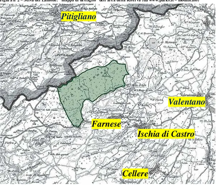 Figur a n°2 – Selva del Lamone: “ mappa di de ttaglio” dell’are a della Riserva (da www.parks.it – modificato) 