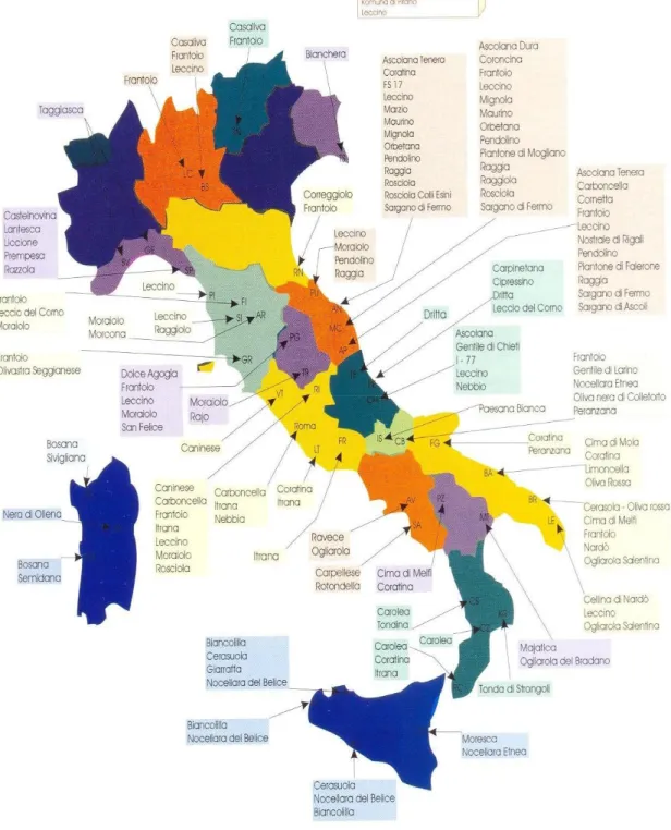 Fig. 6. Distribuzione geografica delle cultivar più diffuse in Italia 