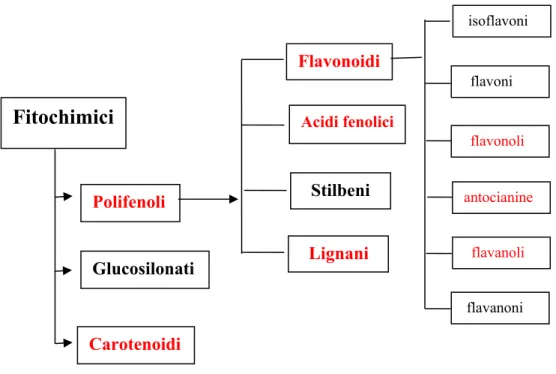 Fig. 1Suddivisione delle sostanze biologicamente attive presenti negli alimenti di origine vegetale