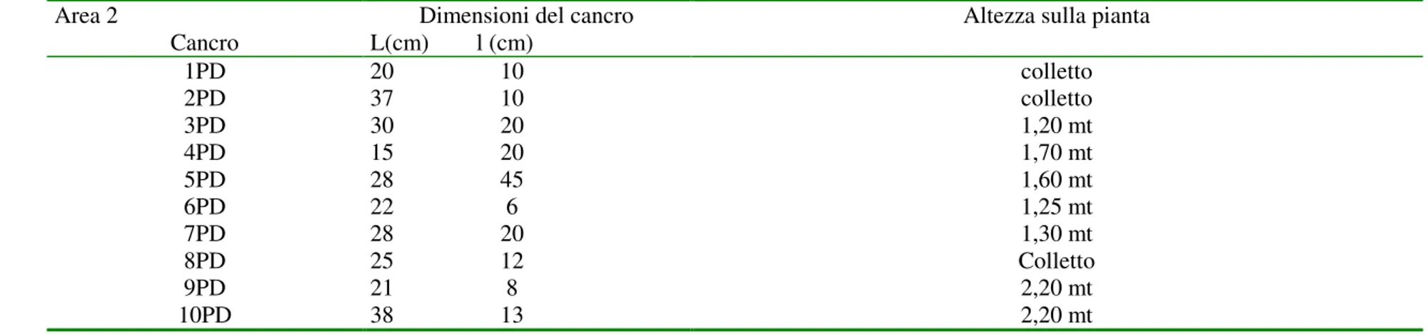 Tabella 4- - Dimensioni e posizione sul pollone dei cancri n stroma campionati nell’area 2 