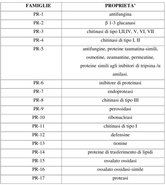 Tab. 2: Schema famiglie di proteine PR con le rispettive proprietà. 
