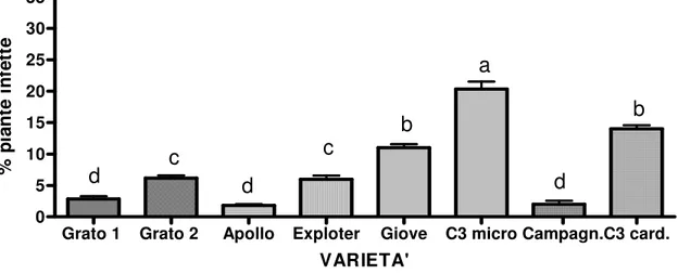 Fig. 12: Percentuale di infezione virale sulle 8 varietà di carciofo confrontate in campo nella primavera 2008