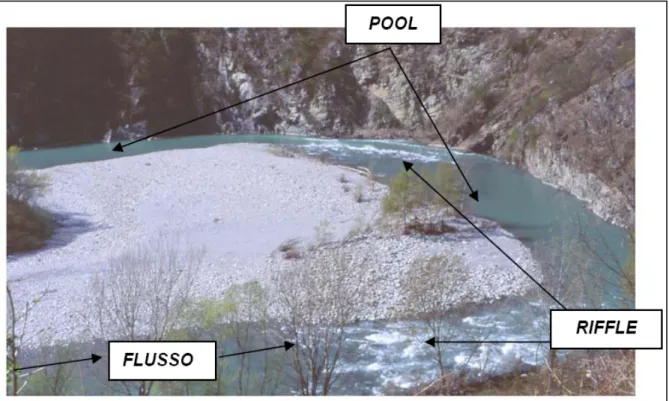 Figura 5. Esempio di sequenza riffle/pool nel Fiume Trebbia (Appennino Settentrionale, da  Buffagni &amp; Erba, 2007a)