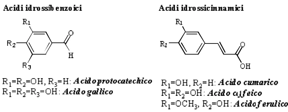Figura 2. Strutture chimiche degli acidi fenolici più abbondanti in natura . 