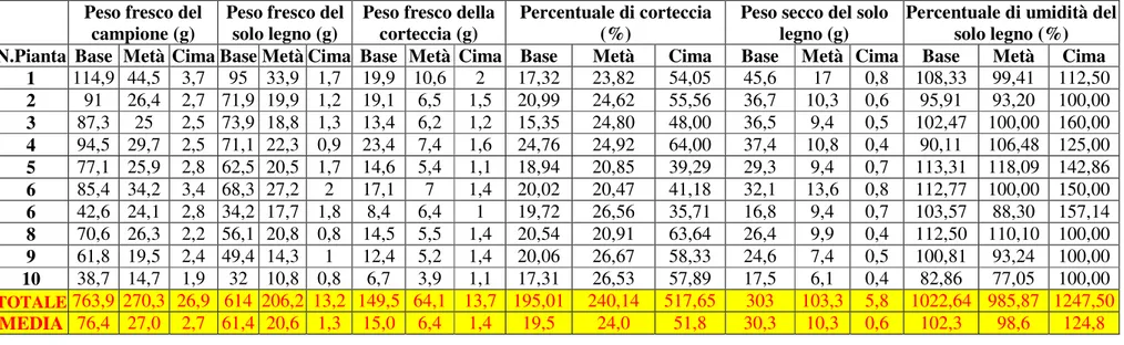 Tabella 12. Percentuali di corteccia e di umidità nel pioppo a file singole (Montalto) e medie 