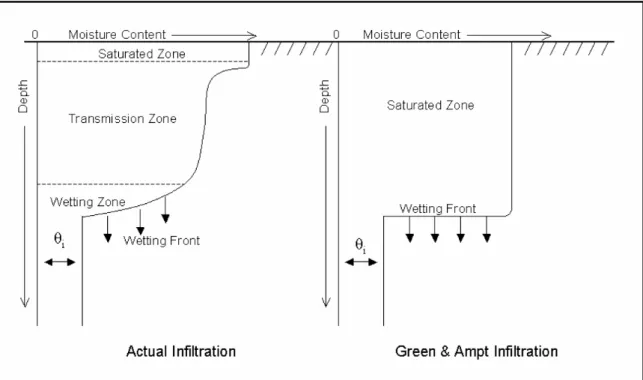 Fig. n°3.7. Comparison of moisture content distribution modeled by Green &amp; Amp and a typical observed  distribution