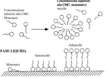 Figura 1.9. Esempi di diversi tipi di forme micellari dei surfactanti nel suolo (adattato  da West &amp; Harwell, 1992)