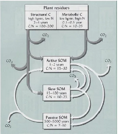 Fig. 3  Different soil C pools with residence time and C/N ratio, derived from plant  organic residues, Brady and Weil, 1999