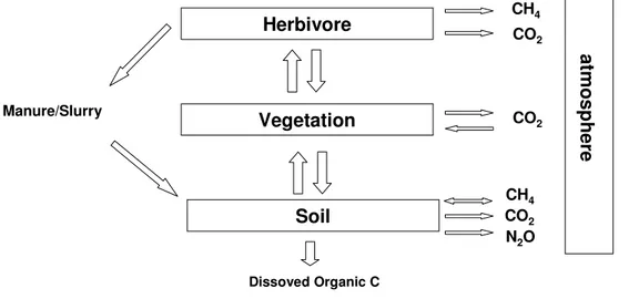 Fig. 5  Schematic diagram of the greenhouse gas fluxes and main organic matter (OM) fluxes in a grazed  grassland (modified after Sousanna, 2004)