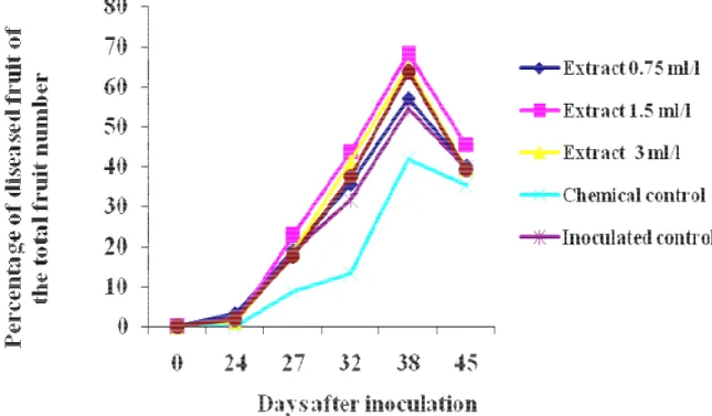 Fig. 2.2.1.15: Evaluation of S. guaianensis extract efficiency in control of B. cinerea in strawberry – percentage of a number of diseased fruits