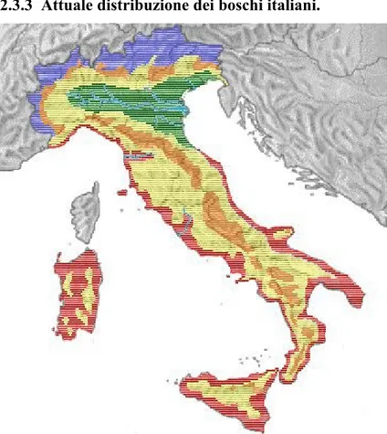 Fig. 1. L’attuale distribuzione dei boschi italiani