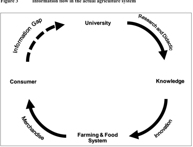 Figure 3  Information flow in the actual agriculture system 