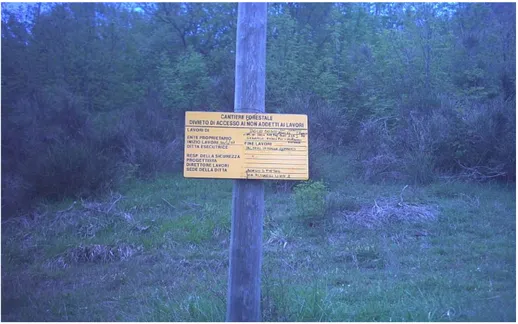 Foto 1: cartello non a norma presente in solo cantiere forestale. 