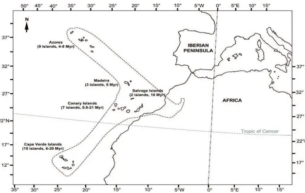 Figure  1.2  -  The  Macaronesian  Region,  with  the  fi ve  Atlantic  volcanic  archipelagos  (the  Azores,  the  Madeira, the Salvage Islands, the Canary Islands, and the Cape Verde Islands) indicating the age of current  above-sea landmass for each arc