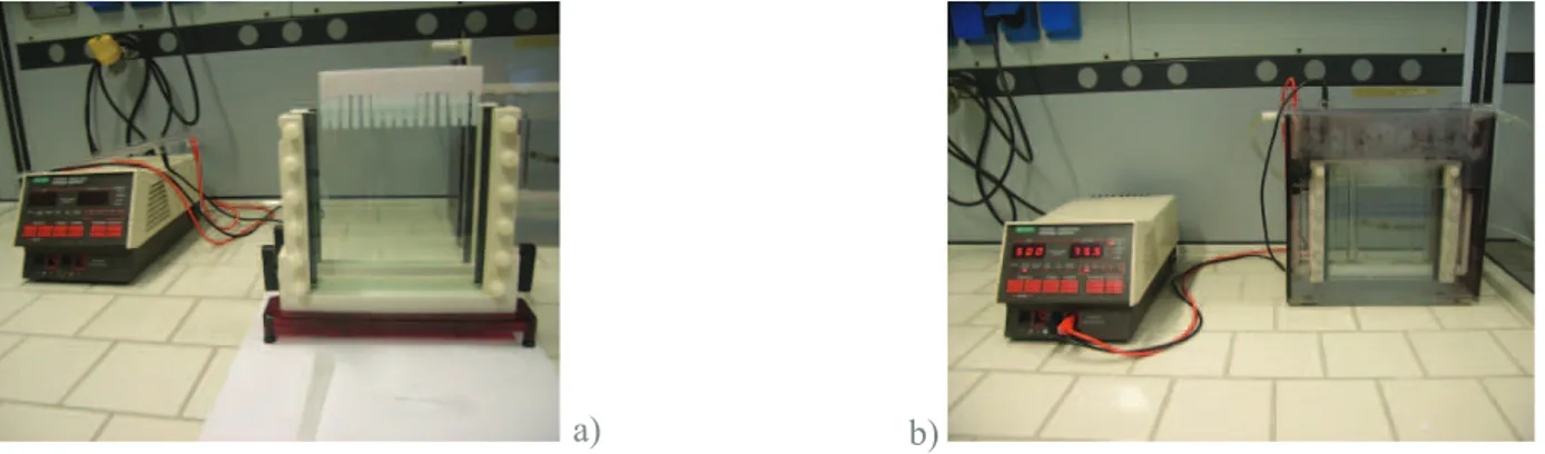 Figure  2.3  -  (a)  Vertical  apparatus  (HOEFER  SE  600),  with  two  gels  prior  to  electrophoresis;  (b)  Electrophoresis progress with 13 samples running in each acrylamide gel.