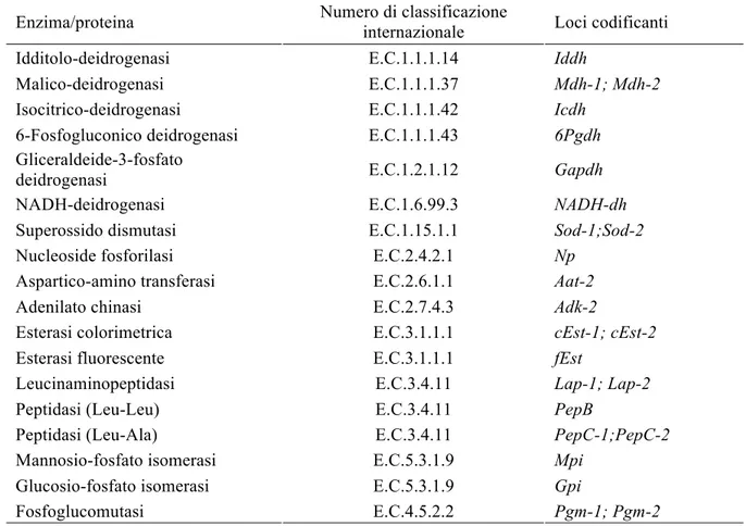 Tabella 5-2: Enzimi nell’identificazione dei nematodi anisakidi studiati e rispettivi loci codificanti 