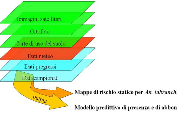 Figura 26. Schema di analisi di tipo GIS, attraverso l’utilizzo di livelli informativi di tipo spaziale e relazionale