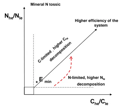 Fig.  3  Conceptual  scheme  of  the  soil  qualitative  behaviour  in  the  presence  of  different  source  of  C  and  N  showing 