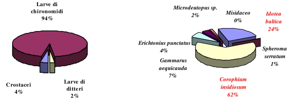 Fig. 37 e 38 – Ripartizione degli individui raccolti tra gli Artropodi e in particolare tra i Crostacei