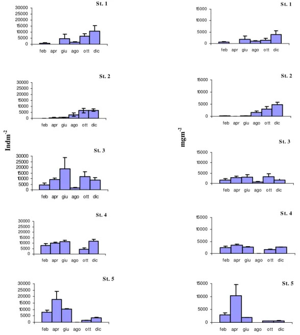 Fig. 45 - Andamento delle densità e della biomassa delle larve di Chironomidi  nelle cinque stazioni esaminate (±e.s.) 
