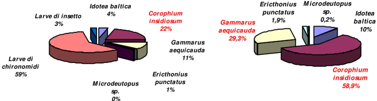 Fig. 53 e 54 - Ripartizione degli individui raccolti tra gli Artropodi e i Crostacei in particolare